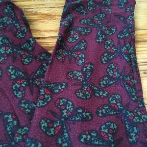 Lularoe OS butterfly 🦋 print leggings!